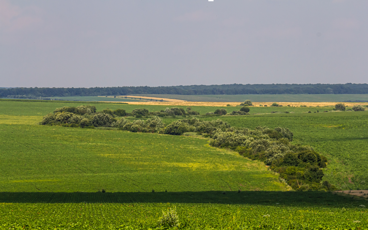 The Rise of the Lifestyle Property: Why More Buyers Are Choosing Land Near Hugo, Oklahoma